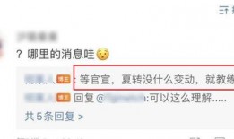 转会期最新爆料we,WE战队引援动向揭秘