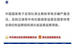 湖北爆料最新消息视频,视频揭露惊人真相！